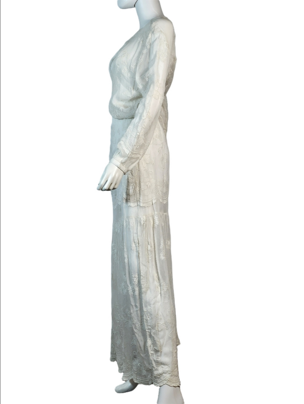 NWT Chelsea & Violet Ivory Embroidered Mesh Semi-Sheer Long Sleeve Maxi Dress - Picture 8 of 16